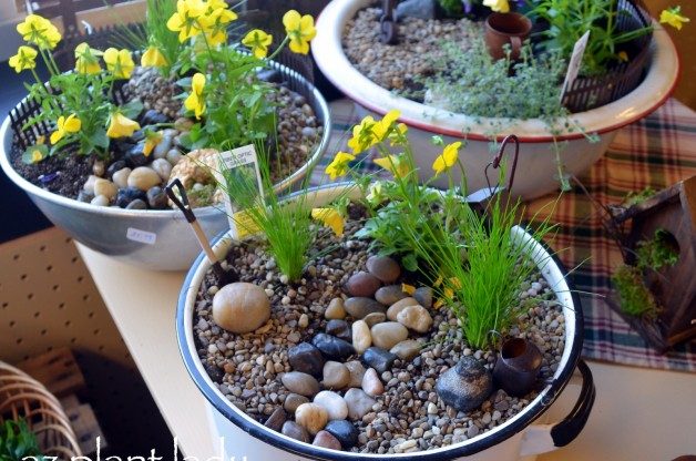 How To Make A Fairy Garden Container Birds And Blooms