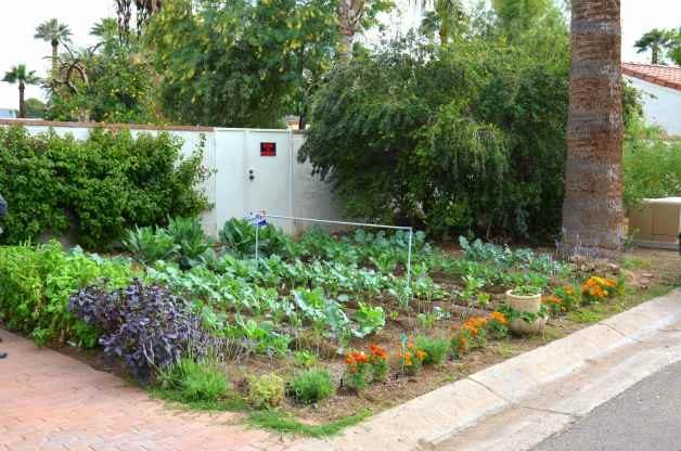  vegetables, but are limited by a small space in which to garden in
