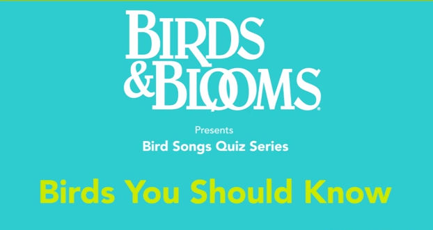 Bird Song Identification Birds You Should Know Birding Basics 6948