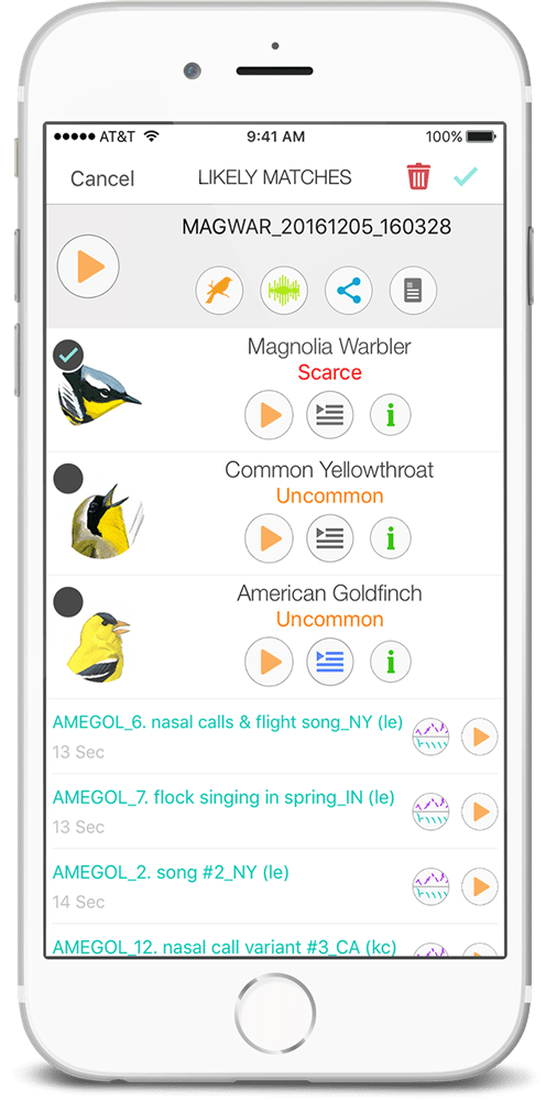 new-app-for-identifying-bird-song-birds-and-blooms