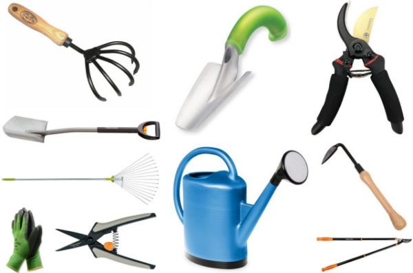 Top 10 Garden Tools And How To Choose Them Gardening Basics