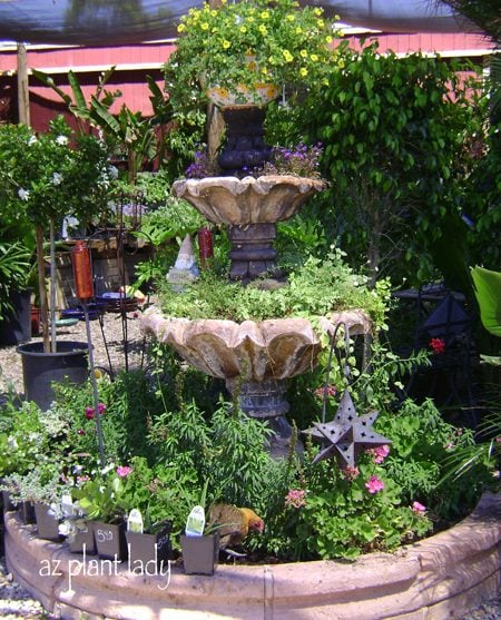 Transform a Fountain Into a Garden Planter