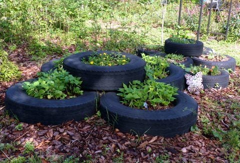 Recycled Backyard: Tire Gardens