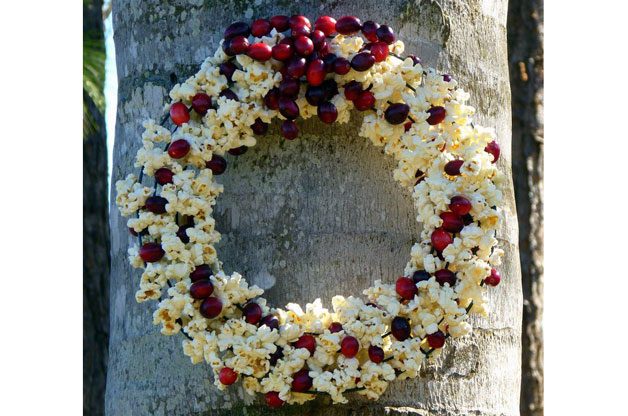 Popcorn Cranberry DIY Bird Feeder Wreath