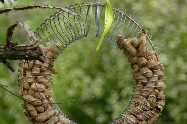 Slinky DIY Bird Feeder for Peanuts