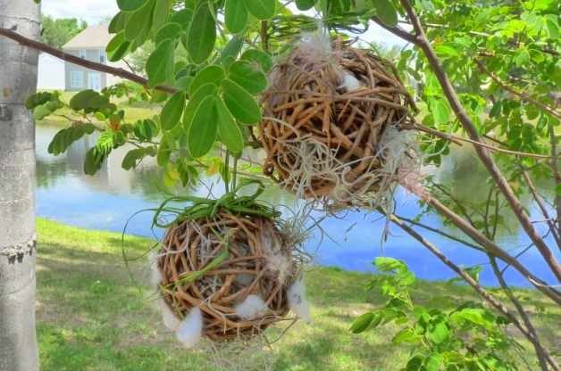DIY Grapevine Balls for Nesting Birds