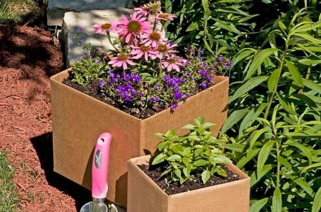 Save Money and Recycle with Cardboard Gardening