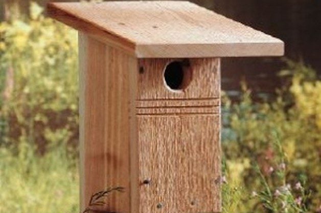 diy birdhouse for bluebirds