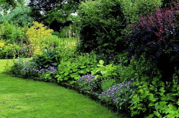 33 Easy Ideas for Shade Gardens
