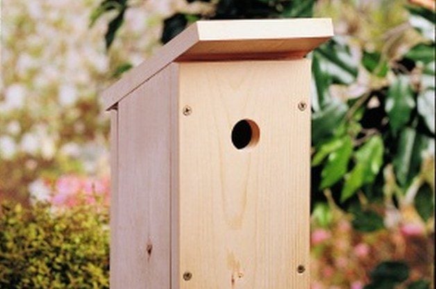 Build a One-Board DIY Birdhouse