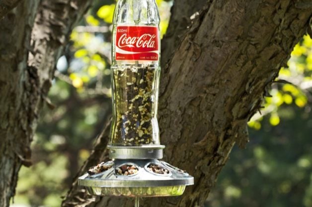 Turn a Glass Soda Bottle into a Homemade Bird Feeder