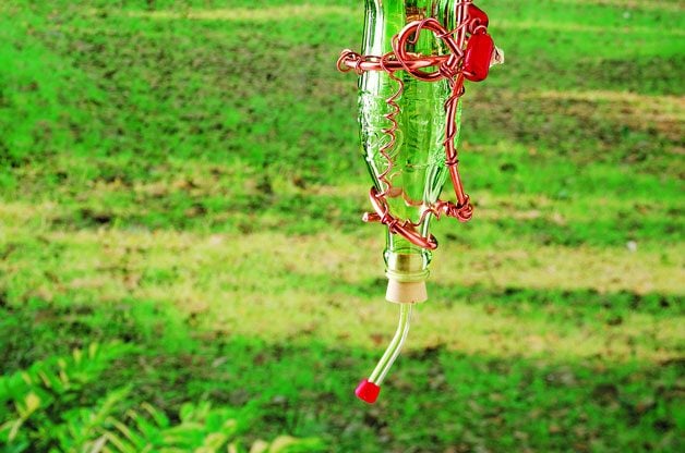Glass Bottle Homemade Hummingbird Feeder