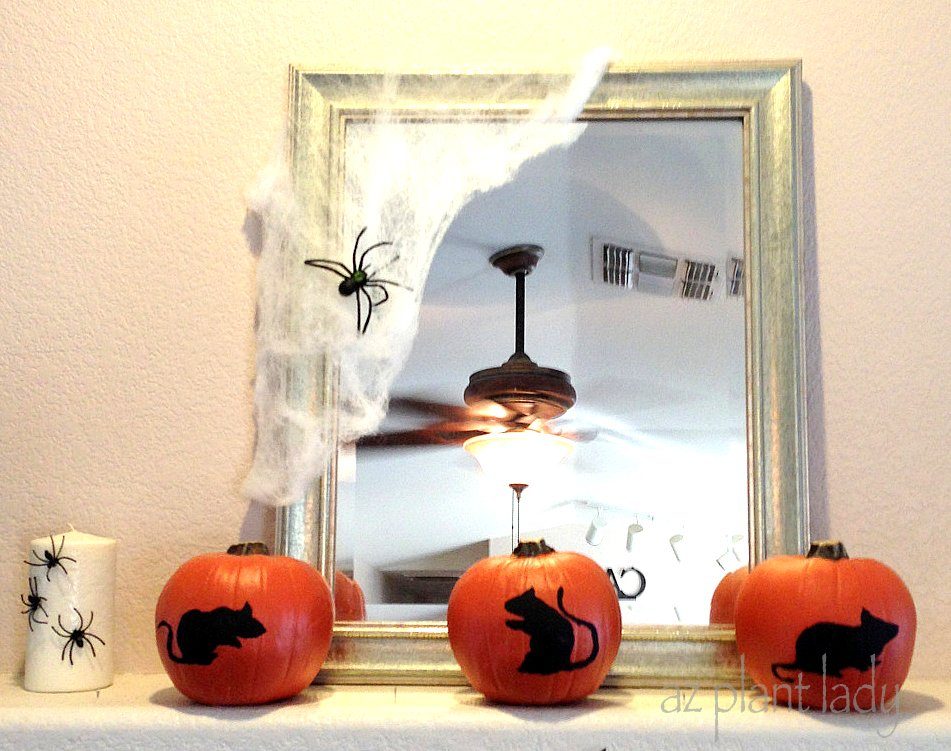 Creative and Inexpensive Halloween Decororations - Birds and Blooms