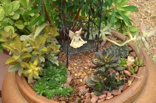 Container Ideas: Miniature Succulent Fairy Garden