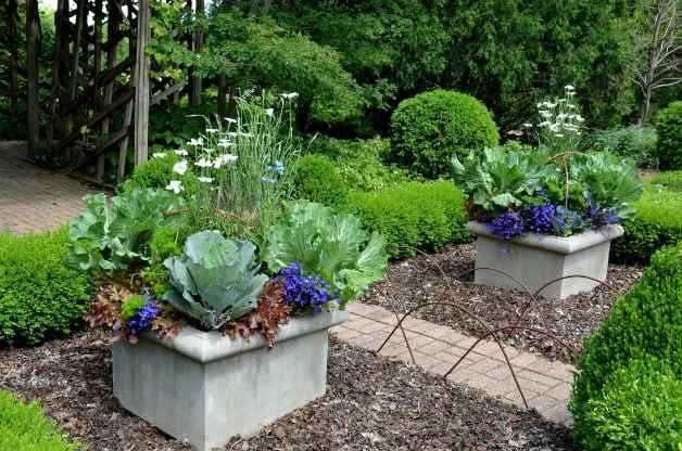 Container Ideas: Pair Flowers and Vegetables Together