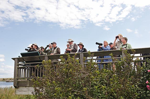 5 Top Fall Birding Locations on the East Coast