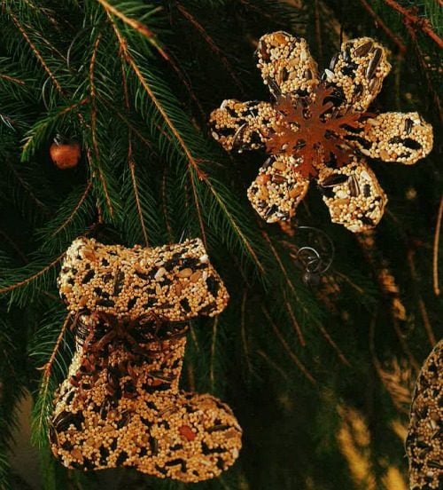 Make Your Own Bird Seed Ornaments