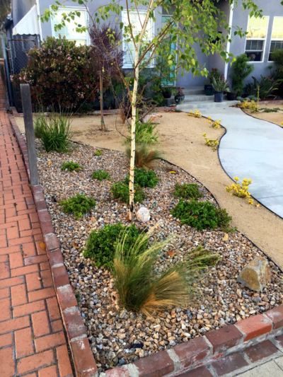 Drought Tolerant Landscaping Tips Xeriscaping Tips