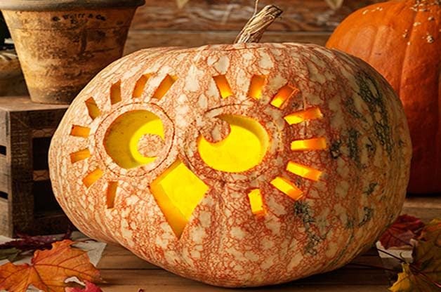 Carve an Owl Jack-o-Lantern for Halloween