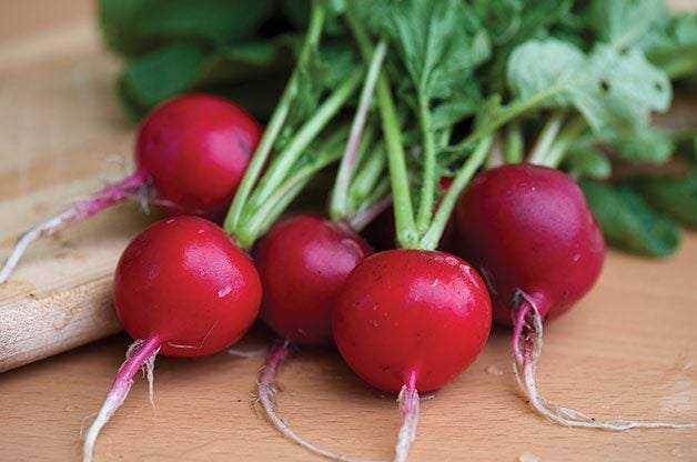 10 Fast-Growing Vegetables You Can Harvest Quickly