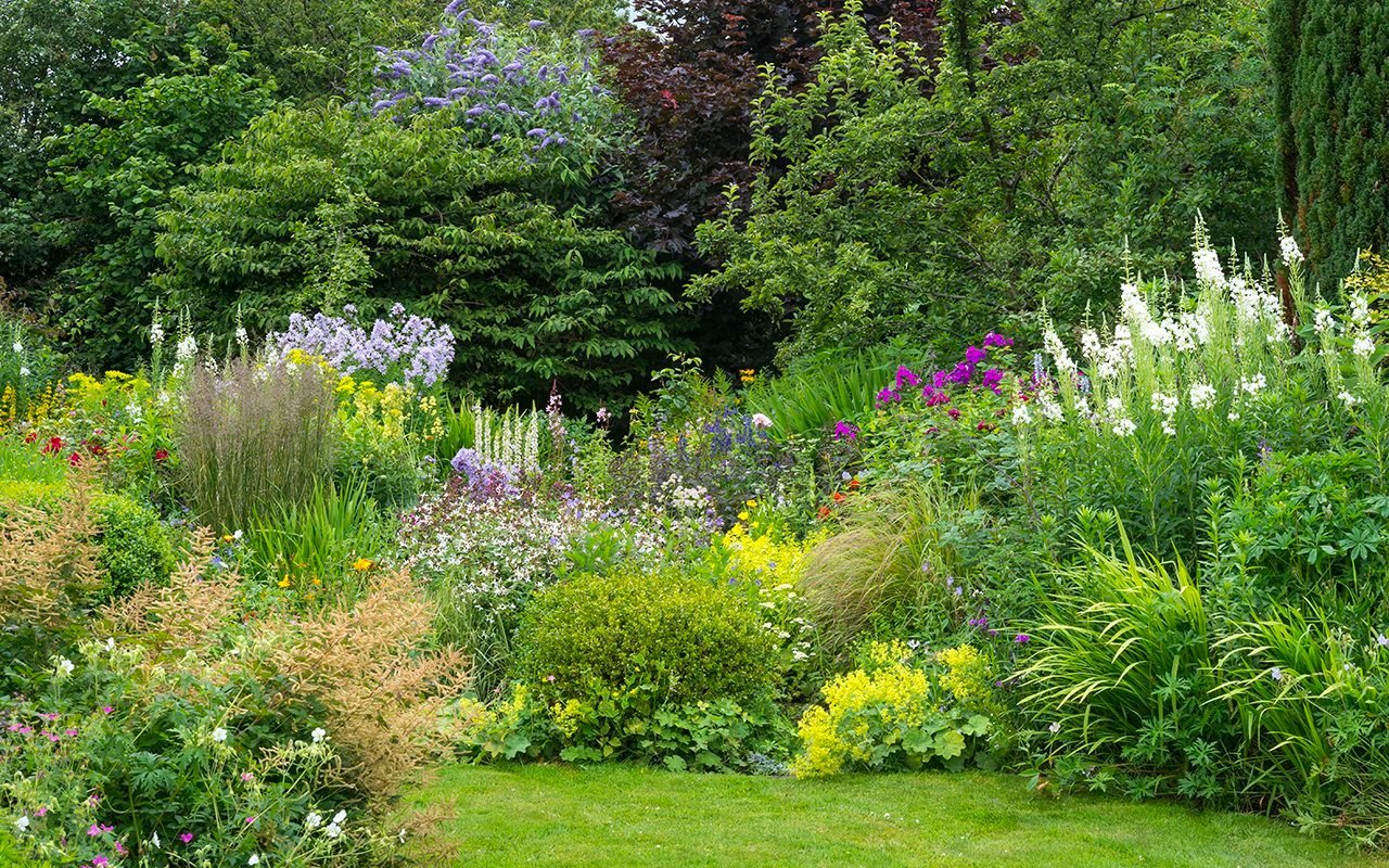 7 Perennial Plant Mistakes You Should Never Make