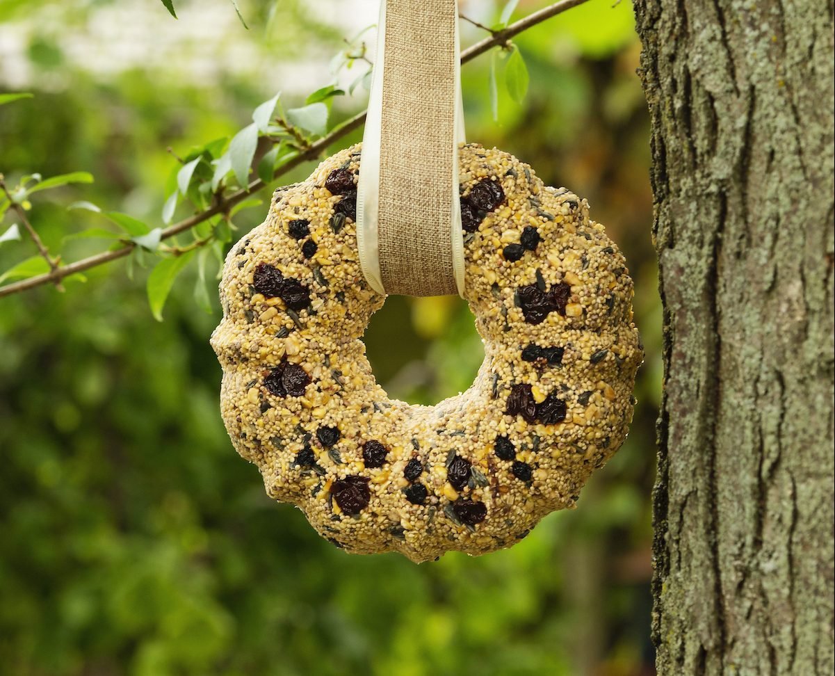 This DIY Birdseed Wreath Will Attract More Birds to Your Yard