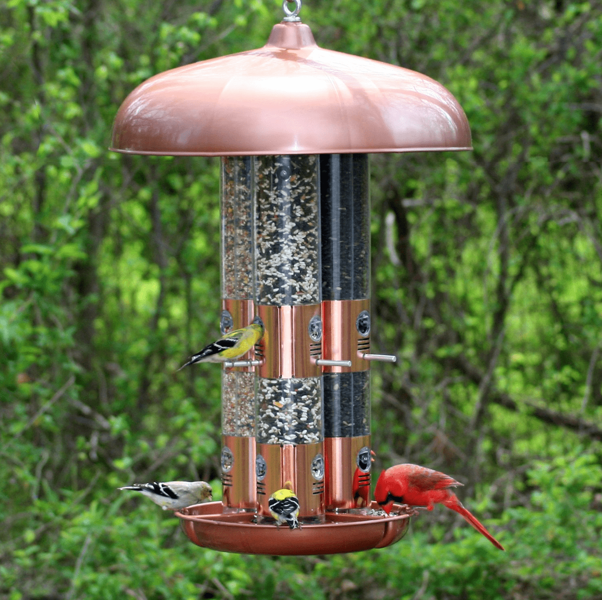 Bird Feeders For Sale - About You