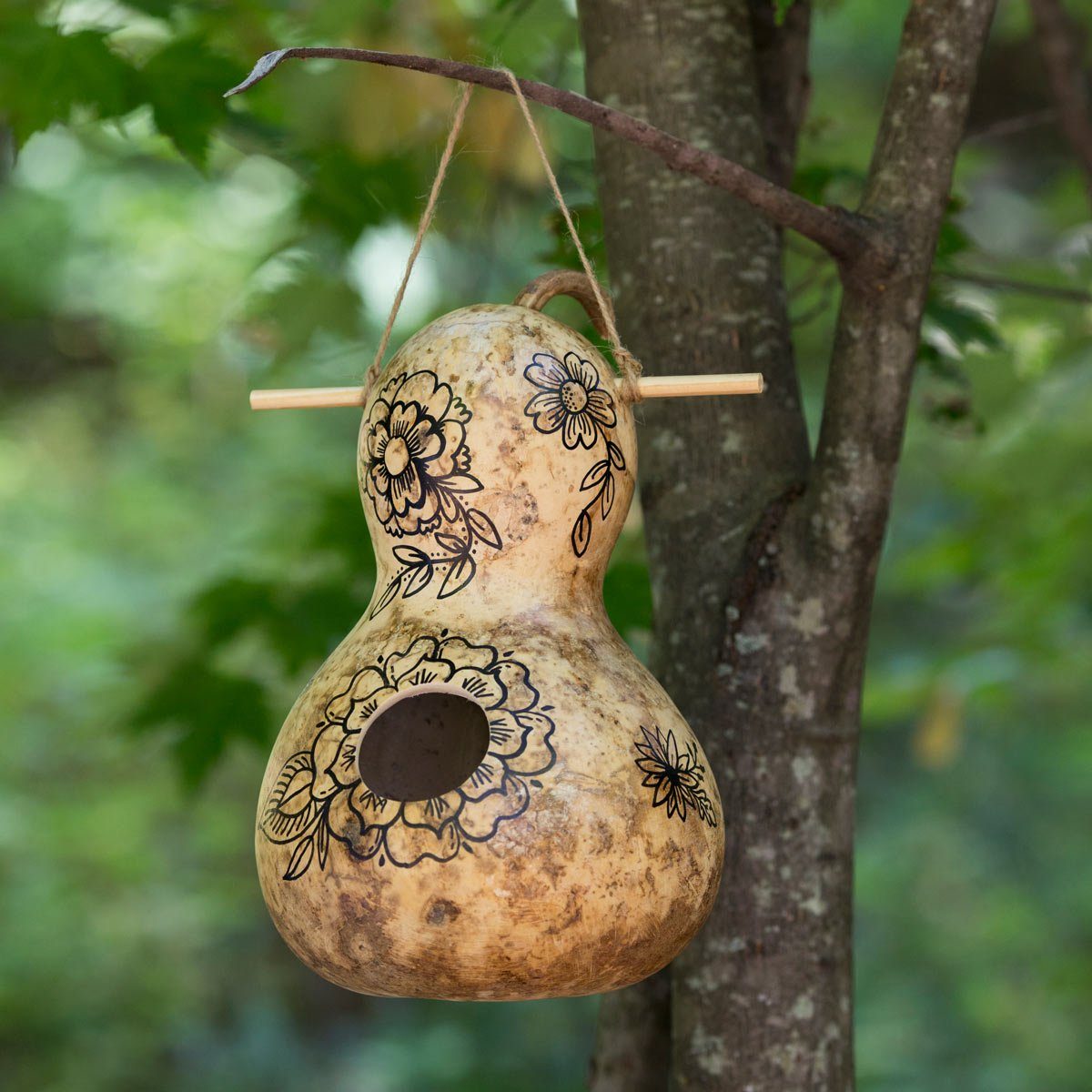 How to Make Gourd Birdhouses
