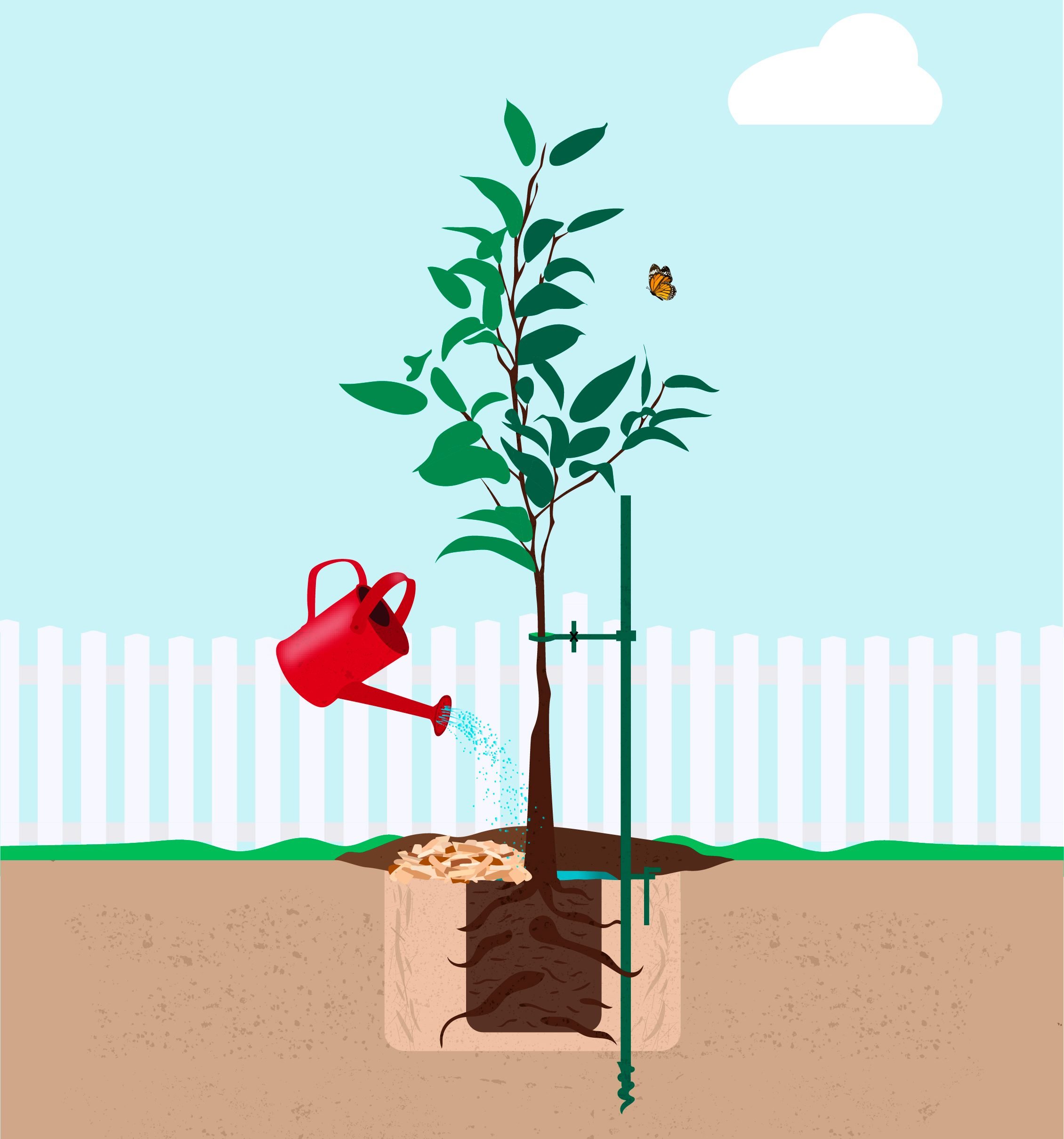 5 Essential Steps for Tree Planting Success