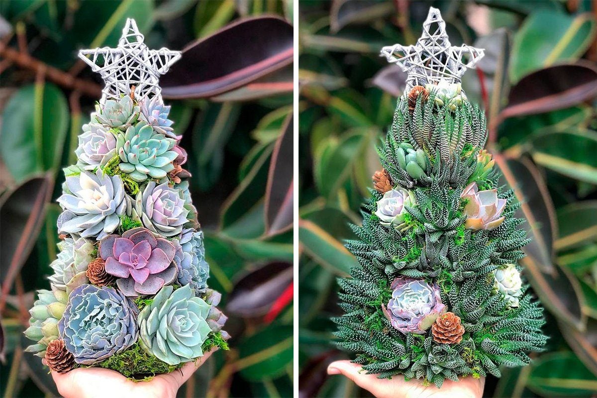 Succulent Christmas Trees Are the CUTEST Christmas Decoration