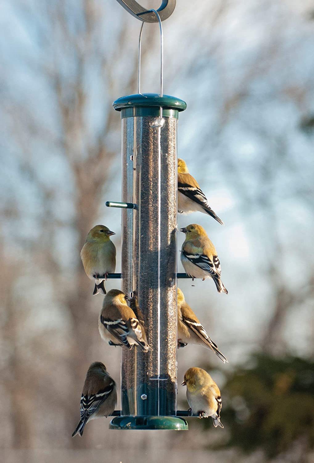 the-7-best-bird-feeders-of-2021