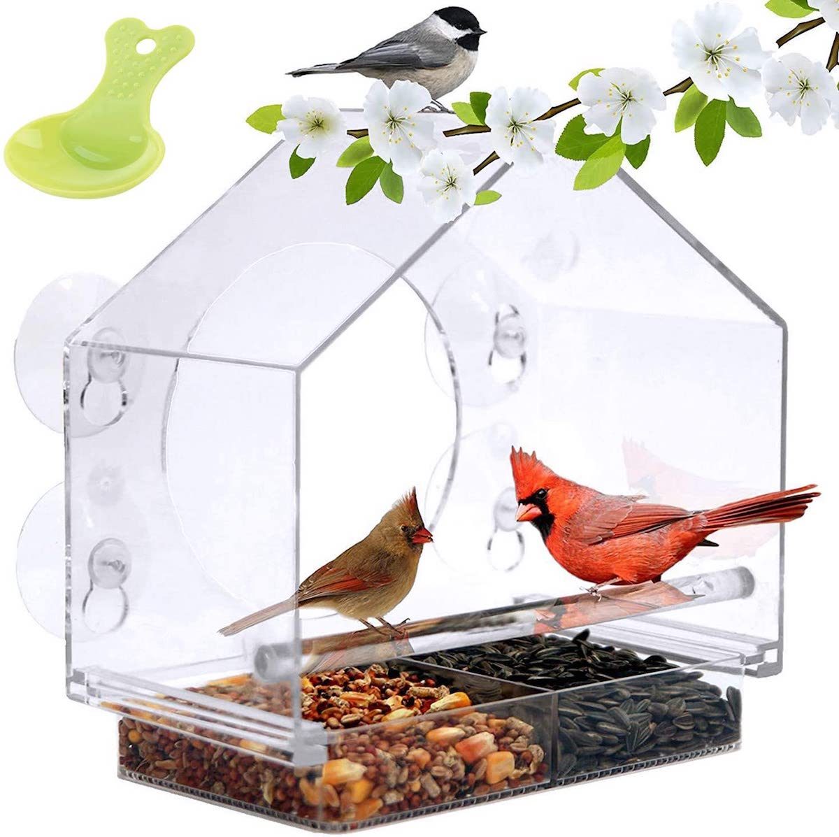 The Best Bird Feeder Deals on Amazon Right Now Birds and Blooms