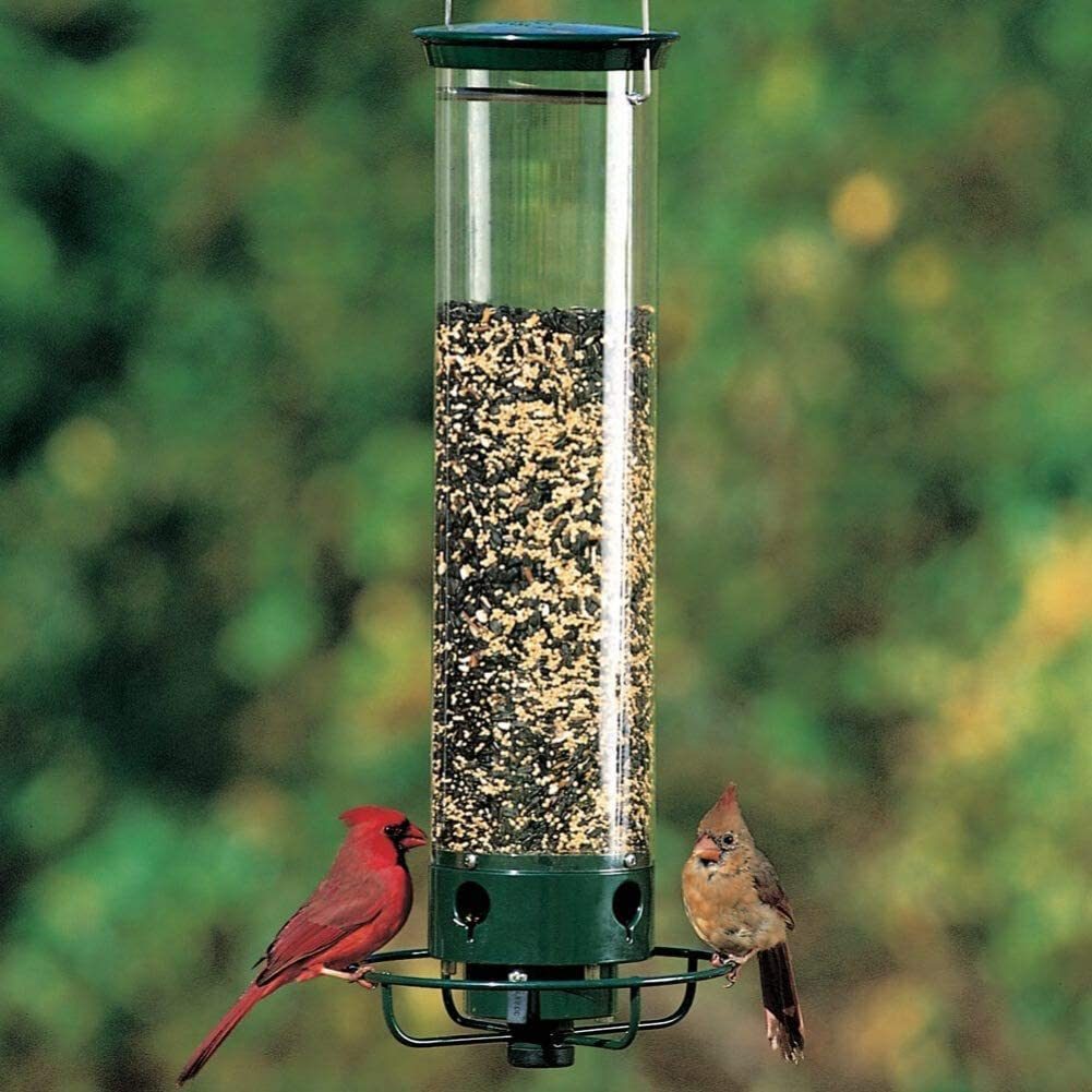 The Best Squirrel Proof Bird Feeders And 12 Tips That Work