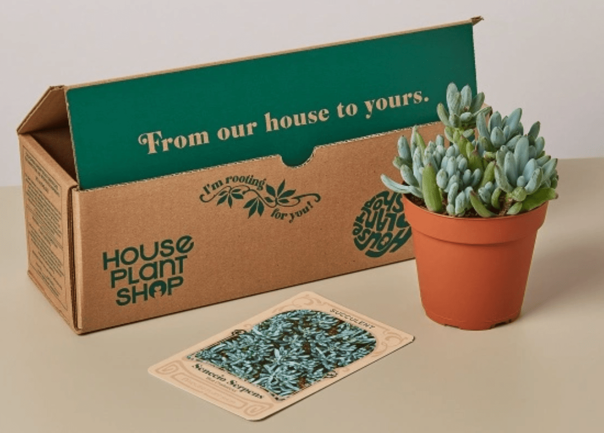 9 Gardening Subscription Boxes You'll Love to Unbox