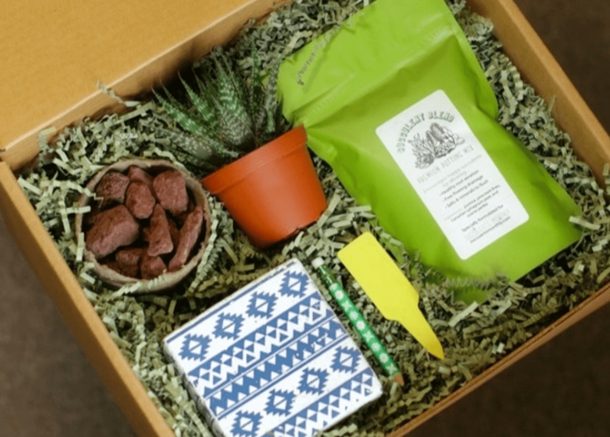 9 Gardening Subscription Boxes You'll Love to Unbox - Birds and Blooms