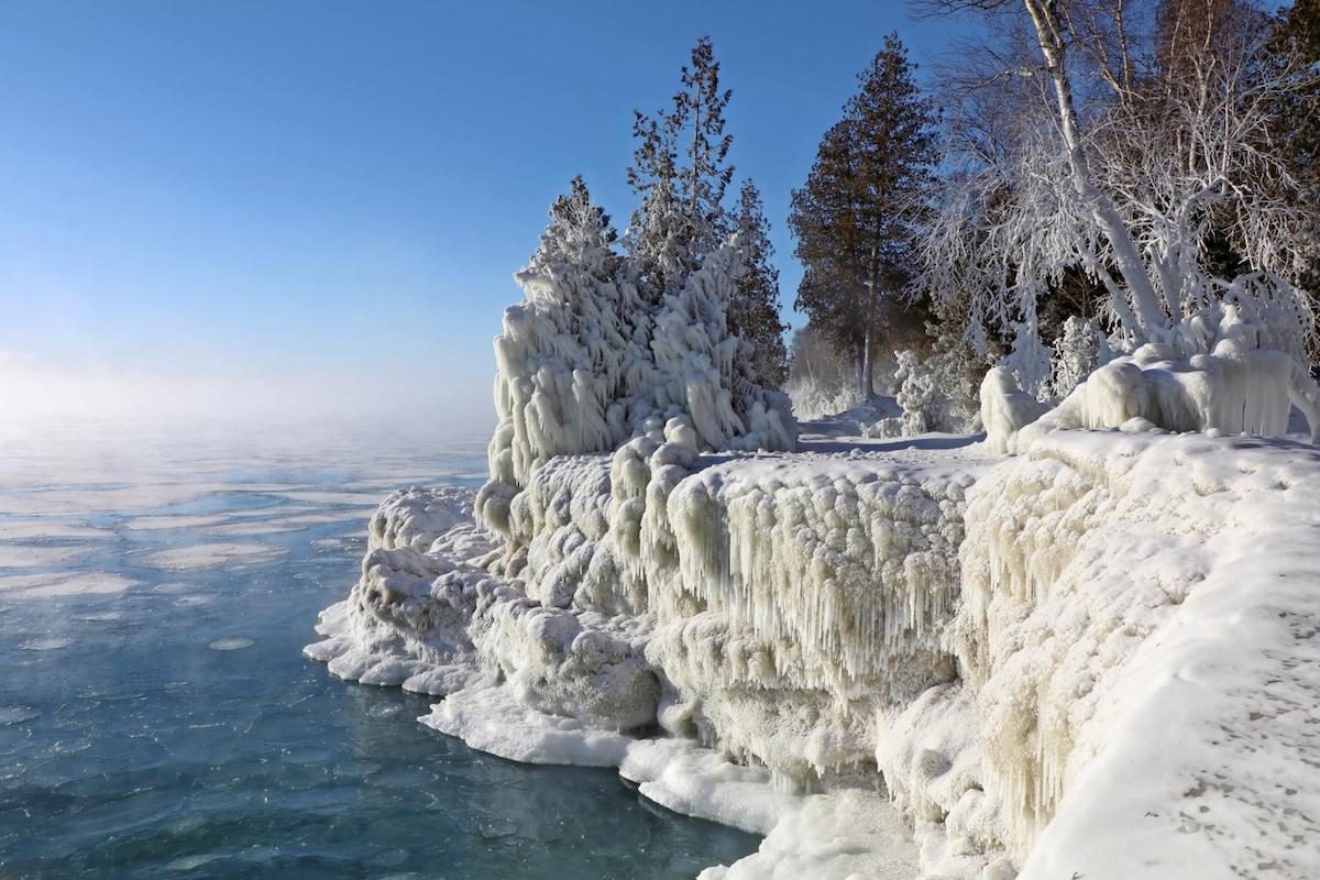 Experience the Magic of a Door County Winter Birds and Blooms