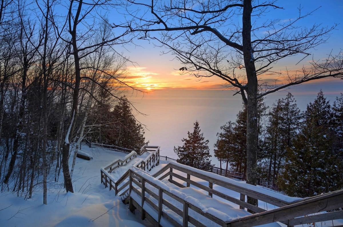 Experience the Magic of a Door County Winter Birds and Blooms