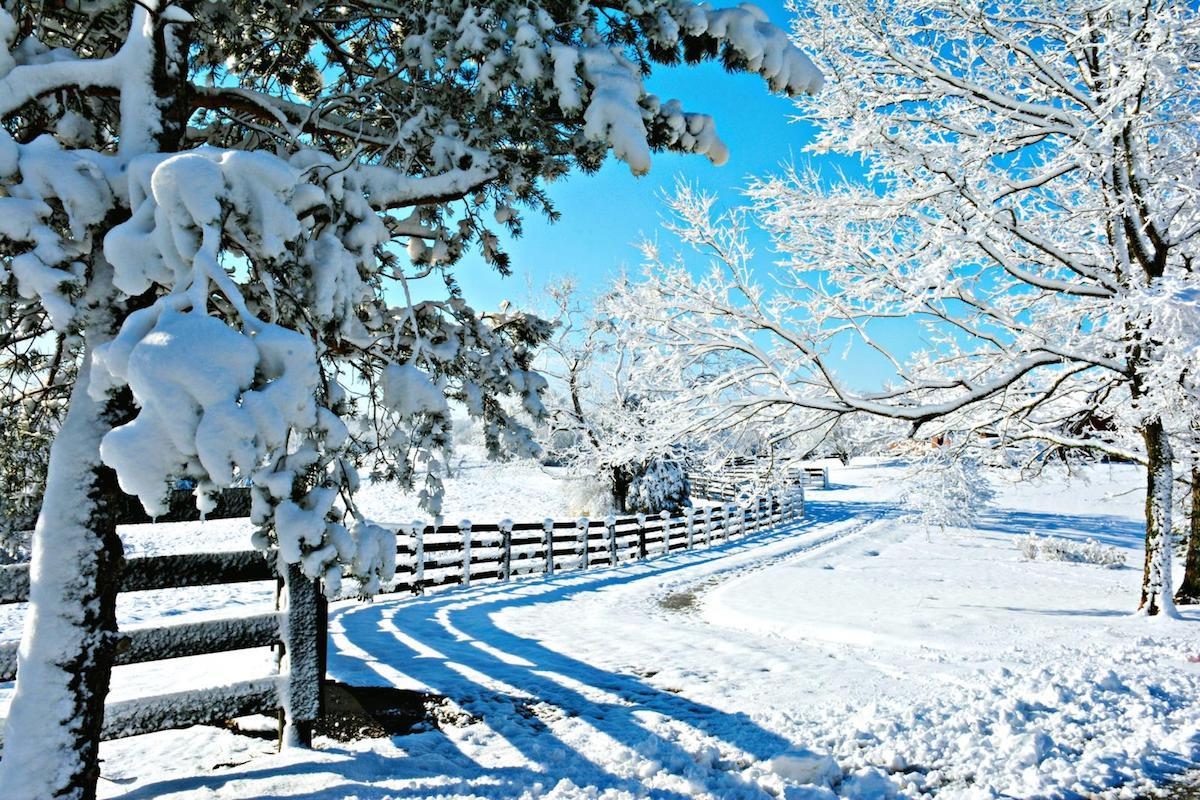 beautiful snowy scenery