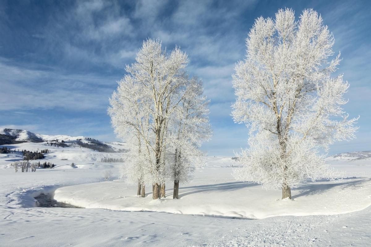 50 Beautiful Winter Pictures Across America - Birds and Blooms