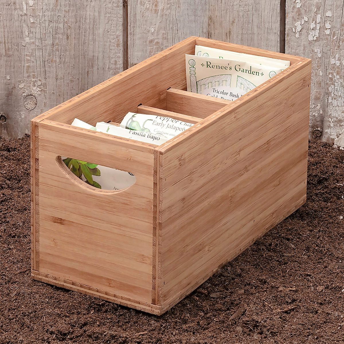 How to Use Photo Storage Boxes to Store Seeds - Gardening