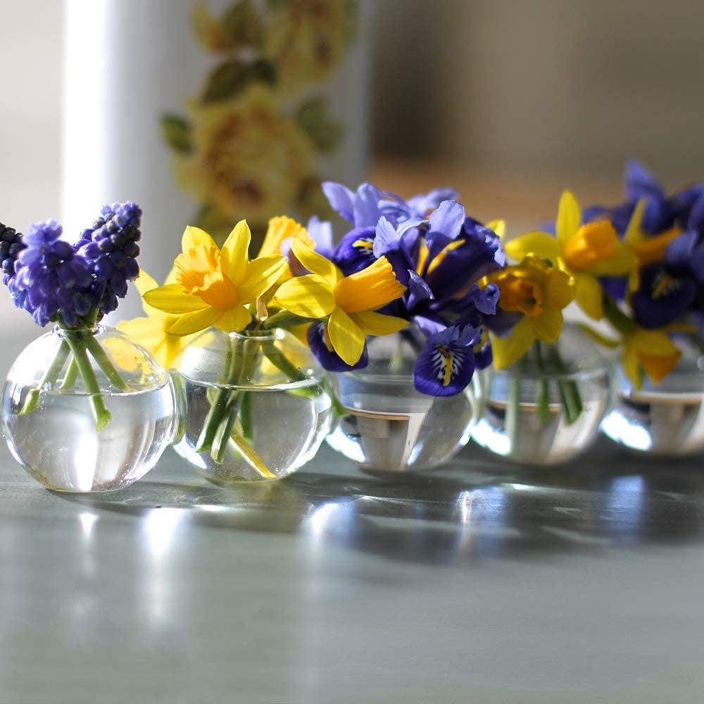 The 15 Prettiest Flower Vases and Hanging Baskets