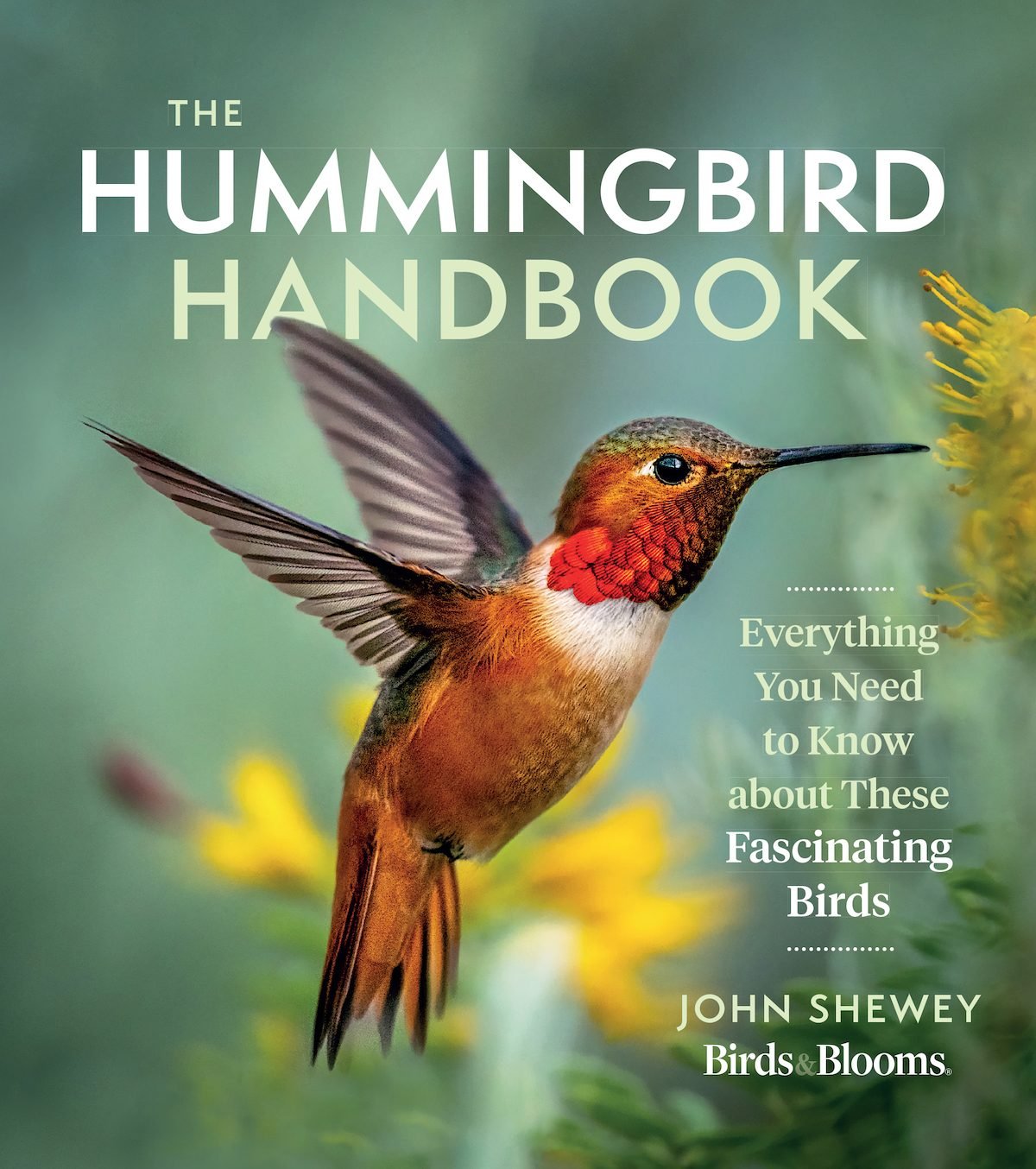 Our Favorite Hummingbird Books for Bird Lovers
