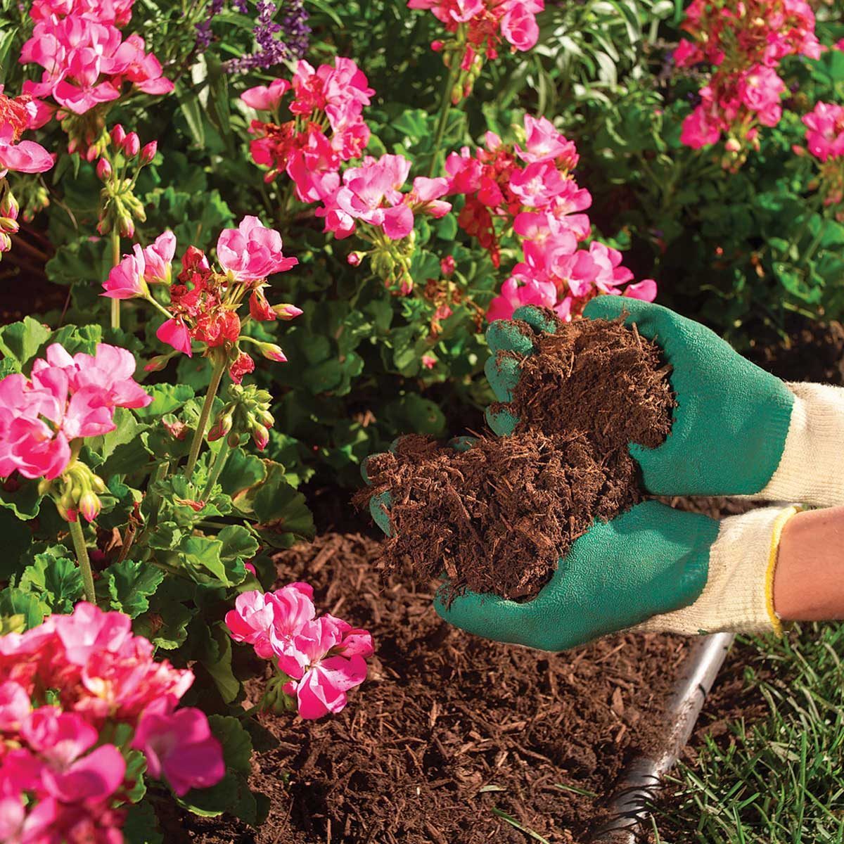 Everything to Know About Mulch