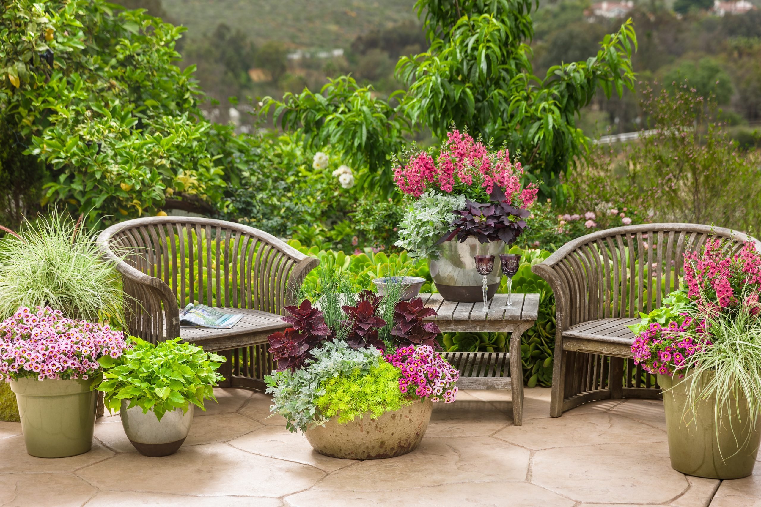 Team Hoffmann 2022 Outdoor Living Trends 4 Plants, plants and more