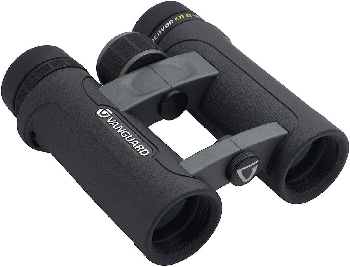 6 Top-Rated Binoculars for Every Kind of Birdwatcher
