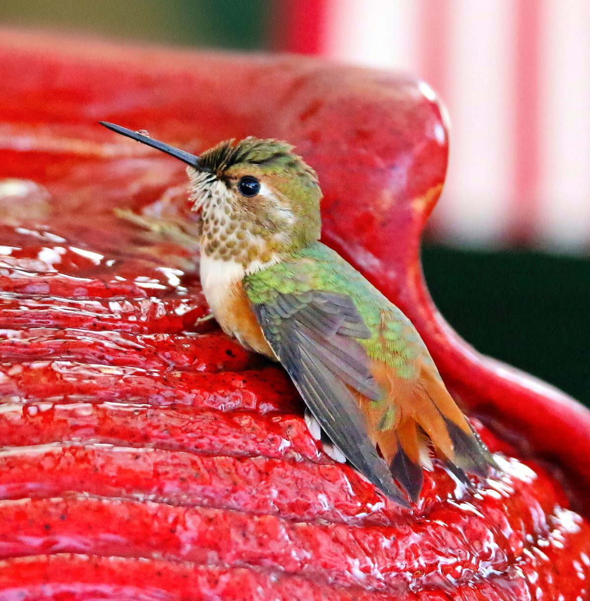 Easy Resin Ornament: Iridescent Hummingbirds - Happily Ever After