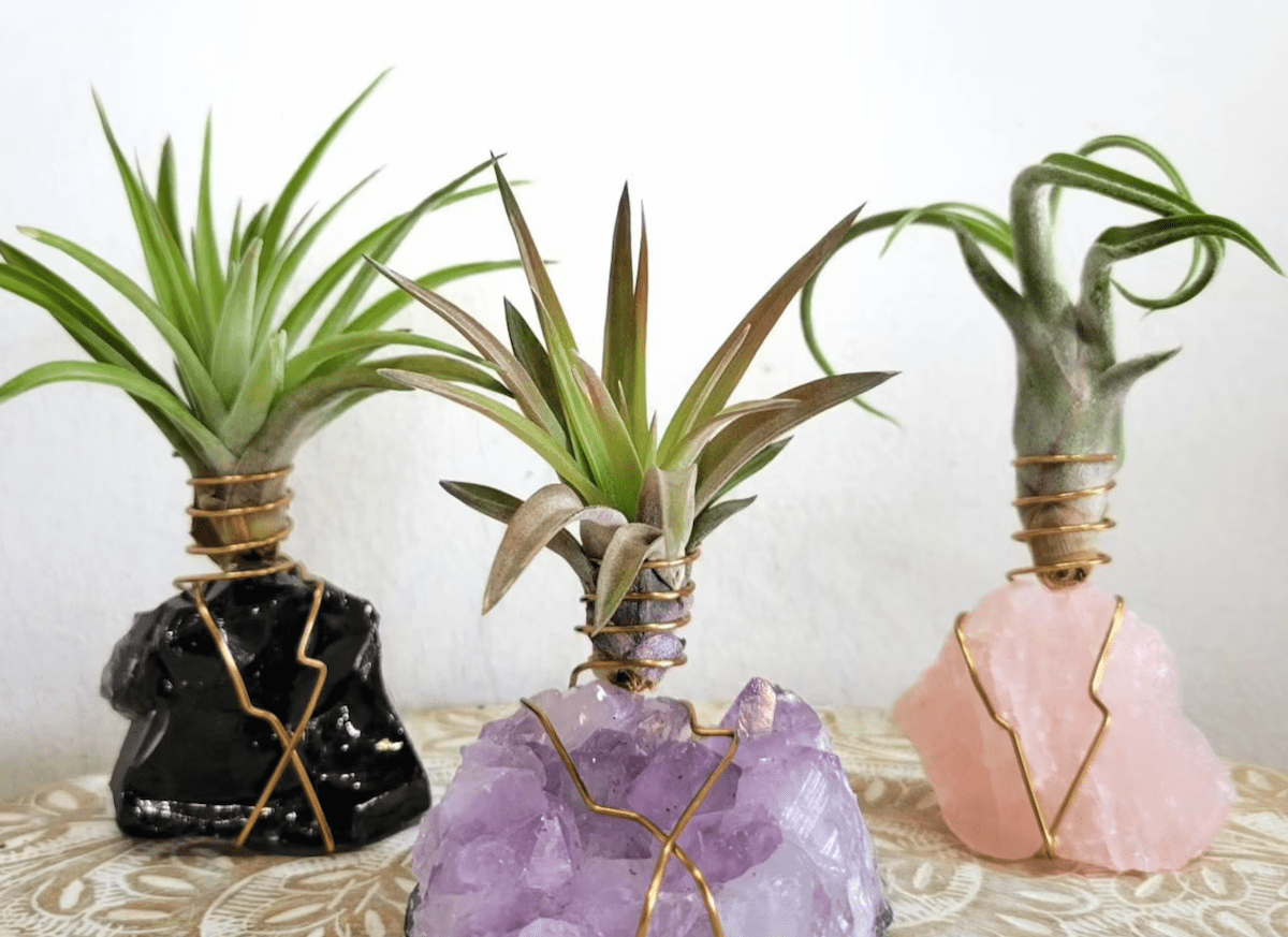 15 Perfect Gifts for Plant Lovers