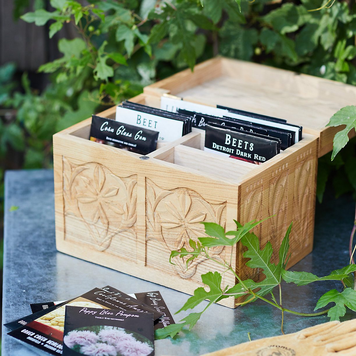 7 Best Seed Storage Containers and Boxes