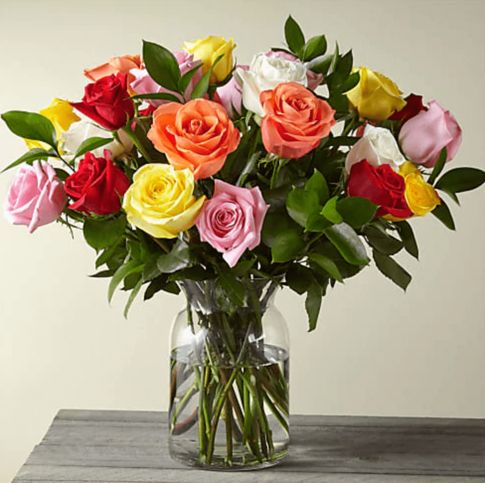 June Birth Flower - Celebrating Life and Happiness With Roses - Article on  Thursd