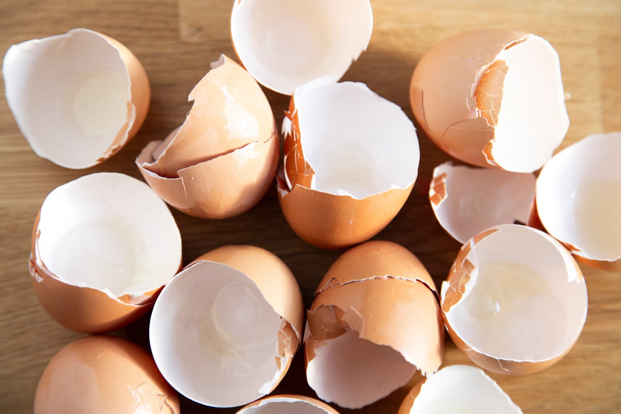 7 Ways to Use Eggshells in the Garden